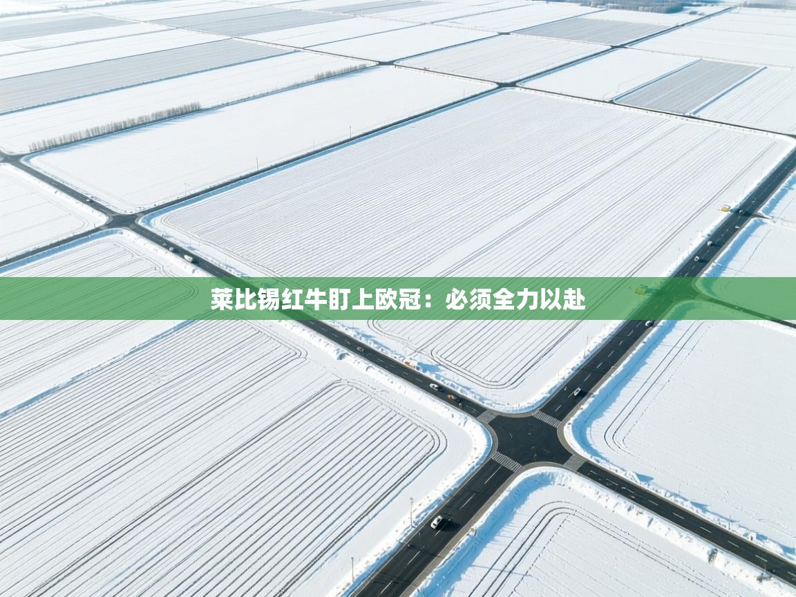 莱比锡红牛盯上欧冠：必须全力以赴  第1张