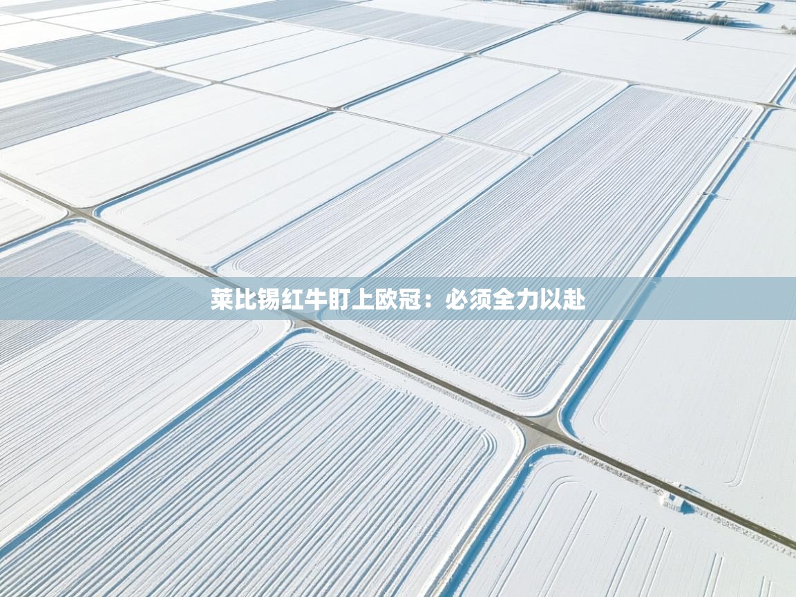 莱比锡红牛盯上欧冠：必须全力以赴  第2张