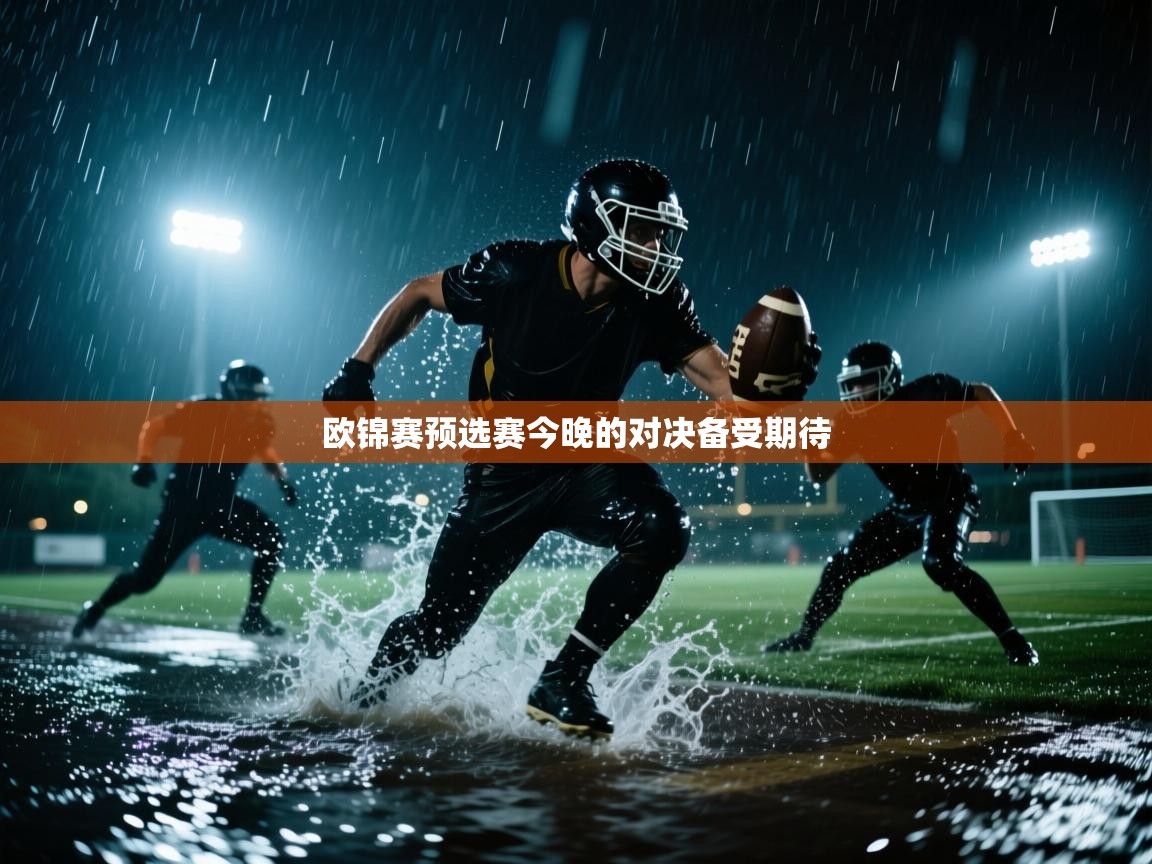 欧锦赛预选赛今晚的对决备受期待 第2张