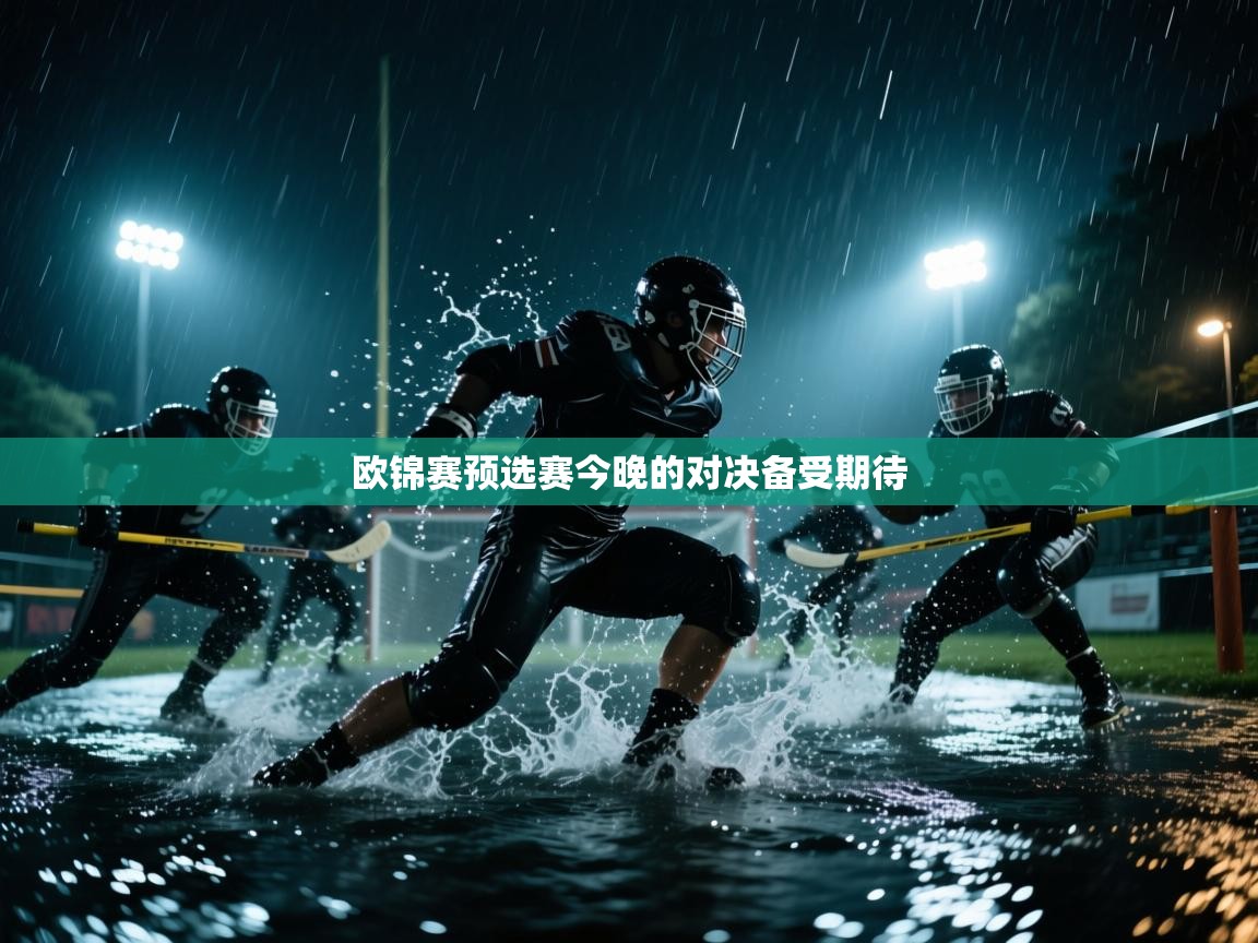欧锦赛预选赛今晚的对决备受期待 第1张