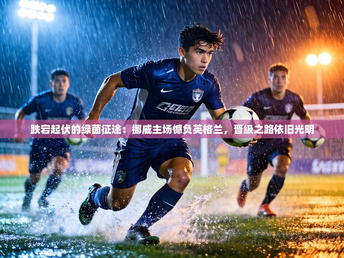 跌宕起伏的绿茵征途:挪威主场憾负英格兰,晋级之路依旧光明 第2张